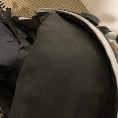バギーの画像