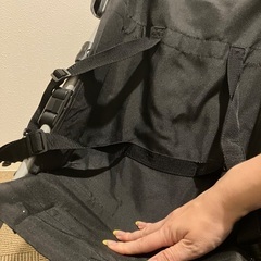 バギーの画像