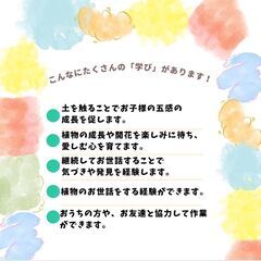 花咲く種ダンゴを作ろう！ − 東京都