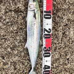 長崎県 釣りLINEグループメンバー募集　