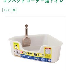 猫/トイレ/ライオン/コーナー/三角の画像