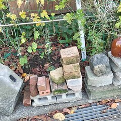 逗子 無料あげます 石材 ブロック ブリックレンガ 瓦 かわら  花瓶 文鎮 置物 ストーンプレート 台座 粘板岩 板状 加工 スクエア 門扉 フェンス エクステリア 生け花 玄関 床材 外壁 内壁 舗装 建築材料 床 水回り 天板 舗装材 壁 石肌 天然石 加工 石碑 飛び石 庭 ガーデニング 境界 路 庭園 装飾品の画像