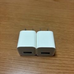 USBライトニングとアダプター(USB-A)の画像