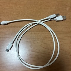USBライトニングとアダプター(USB-A)の画像