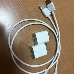 USBライトニングとアダプター(USB-A)の画像
