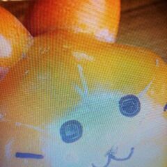Jiro Persimmon 次郎柿差し上げますの画像