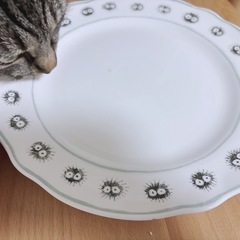 ジブリの大皿！真っ黒くろすけの画像