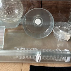 ハムスターハウス
の画像