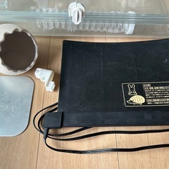 ハムスターハウス
の画像