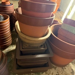 【ご自由にどうぞ】植木鉢たくさんありますの画像