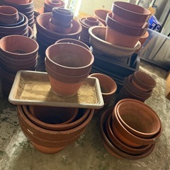 【ご自由にどうぞ】植木鉢たくさんありますの画像