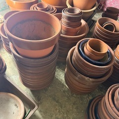 【ご自由にどうぞ】植木鉢たくさんありますの画像