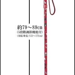 折りたたみタイプ プリティキャッツの画像