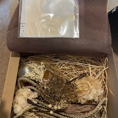 着物ヘアアクセサリー　卒業式　の画像