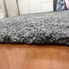 【165×235】ニトリ　ラグ　グレーの画像