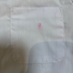 小学校　標準服　丸襟ブラウスの画像