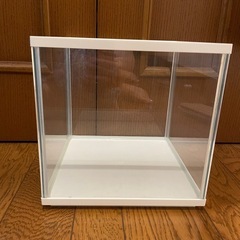 熱帯魚　水槽の画像