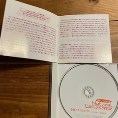 小鳥たちのさえずり~木立の中で/清里高原の画像