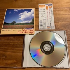 小鳥たちのさえずり~木立の中で/清里高原の画像