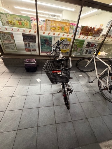 PANASONIC ELECTRIC BICYCLE 

