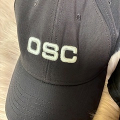 キャップ9個セットの画像