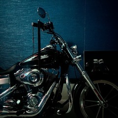 【現状渡し】2011年式　Harley-Davidson LowRider の画像