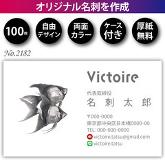 名刺印刷 100枚 両面 フルカラー 紙ケース付 No.2…