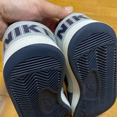 NIKEターミネーターローの画像