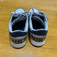 NIKEターミネーターローの画像