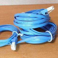 ④《エレコム》Ｗ構造でツメが折れないLANケーブル 10m／ LD-GFT/BU100 ♻️数回使用の長期保管品の画像