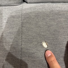ソファの画像