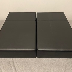 ドッグステップの画像