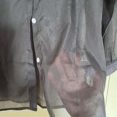 SHEIN シースールシャツ　ブラウスの画像
