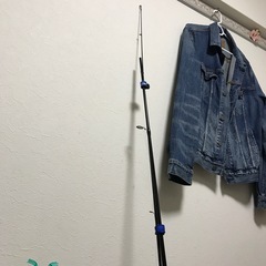 エギングロッド　決まりましたの画像
