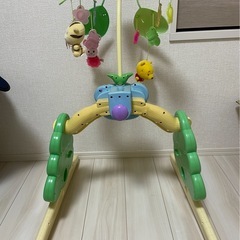 【ジャンク品】プーメリー　※回転不可の画像