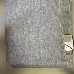 電気カーペットの画像