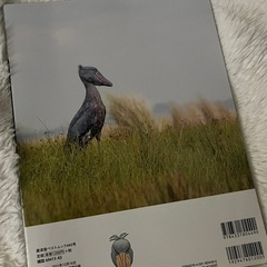 ハシビロコウ 本
の画像