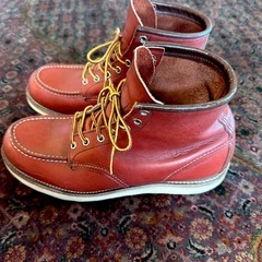 27.5 REDWING レッドウィング　アイリッシュセッターの画像