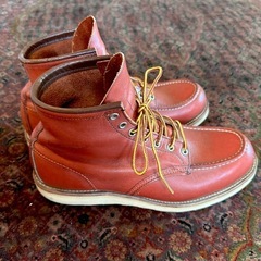 27.5 REDWING レッドウィング　アイリッシュセッターの画像