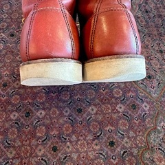 27.5 REDWING レッドウィング　アイリッシュセッターの画像