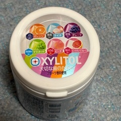 ロッテ　キシリトールガム　いれいすボトル　空箱
の画像