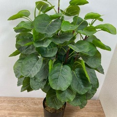 人工観葉植物 全長90cmの画像