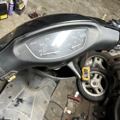 ライブディオベース車の画像