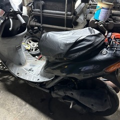 ライブディオベース車の画像