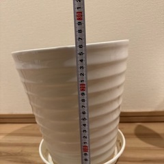 植木鉢の画像