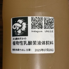 メダカ 乳酸菌液体飼料500mlの画像