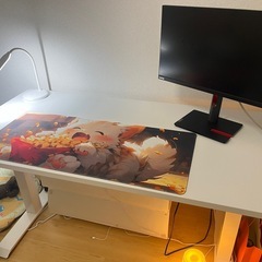 昇降デスク ホワイトFLEXISPOTの画像