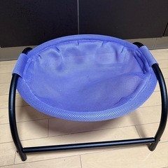 猫　ハンモックの画像