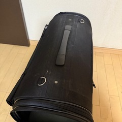 キャリーバッグの画像