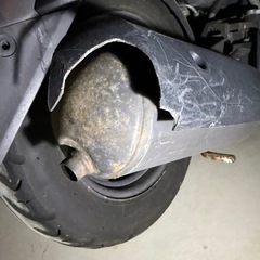 ホンダ 
スクーピーの画像